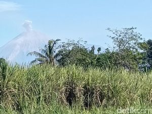 Gunung Semeru Erupsi di Tengah Karhutla, Lava Pijar Meluncur 1 Km