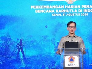 BNPB: Titik Api di 3 Provinsi Kalimantan Bertambah, Jarak Pandang 1-2 Km