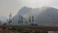 Vegetasi Kering Bikin Karhutla TNBTS Cepat Meluas