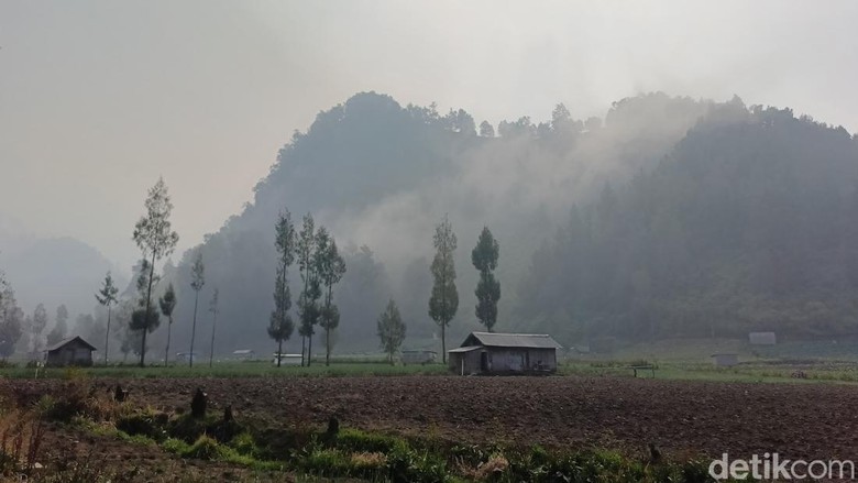 Water Bombing Dihentikan, Karhutla TNBTS Dipadamkan Manual