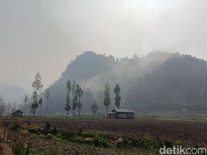 Vegetasi Kering Bikin Karhutla TNBTS Cepat Meluas