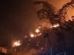 Kebakaran Kembali Terjadi di Lembah Kijang Gunung Arjuno