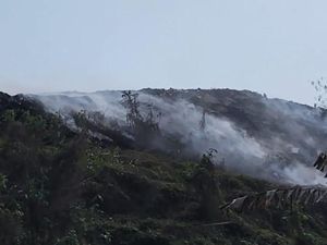 Asap Masih Mengepul di TPA Mandung Tabanan Usai 5 Hari Kebakaran