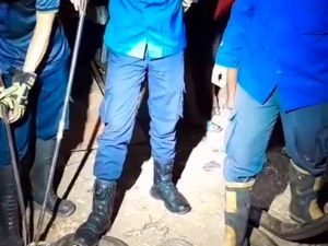 Perjuangan Damkar Semarang Taklukkan King Cobra, Grab Stick Sampai Meleyot