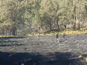 Kebakaran di Lembah Kijang Gunung Arjuno Padam Usai Diserbu Relawan