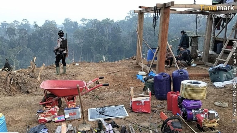 40 Hektare Zona Inti TNBBS Dirambah dan Dibakar, 4 Orang Jadi Tersangka