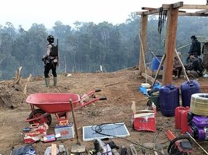 40 Hektare Zona Inti TNBBS Dirambah dan Dibakar, 4 Orang Jadi Tersangka