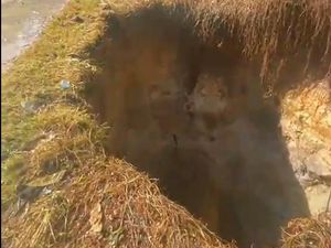 Air Asin Menyembur dari Lubang di Ketahun Bengkulu, Ini Kata Ahli