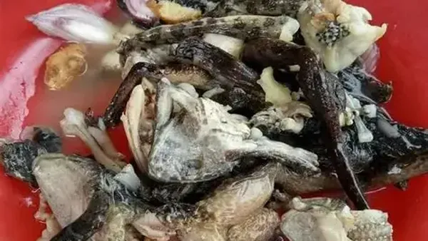 8 Makanan Ekstrem di Thailand, Ada Dancing Shrimp hingga Tikus Panggang!