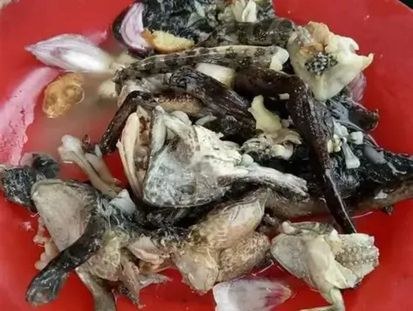 8 Makanan Ekstrem di Thailand, Ada Dancing Shrimp hingga Tikus Panggang!