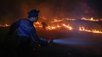 Menembus Asap, Petugas Berjibaku Padamkan Karhutla Kalimantan