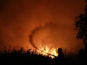 Video September Puncak Karhutla, Menhut: Kita Harus All Out