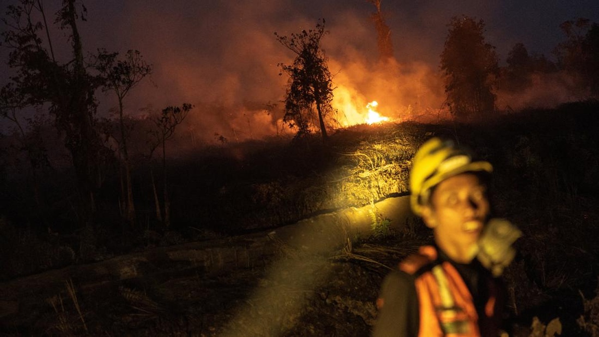 Bocah Meninggal Saat Kabut Asap Karhutla di Kalteng, Ini Kata Kadinkes