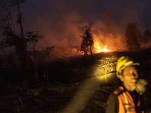 Kadinkes di Kalteng soal Bocah Meninggal: Tak Serta Merta karena Asap Lalu ISPA