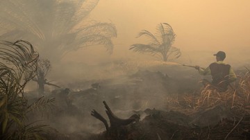 Berita dari Detik Finance: 19 Perusahaan Jadi Biang Kerok Karhutla!