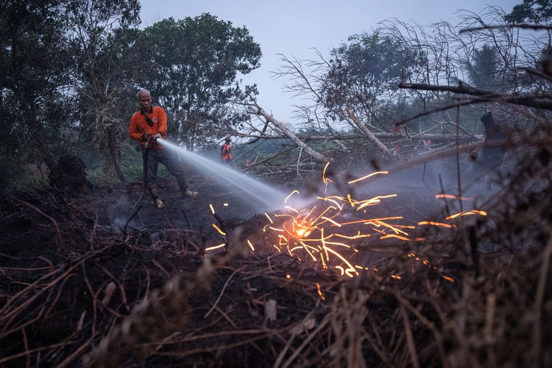 Video Situasi Karhutla Terkini: Titik Api di Kalimantan Naik, Sumatera Turun