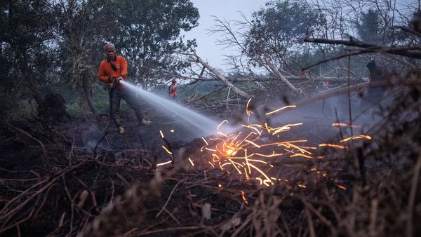 Kerja Keras Petugas Padamkan Api Karhutla di Kalimantan