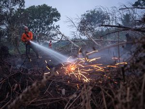 Video Situasi Karhutla Terkini: Titik Api di Kalimantan Naik, Sumatera Turun