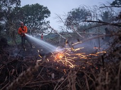 Video Situasi Karhutla Terkini: Titik Api di Kalimantan Naik, Sumatera Turun