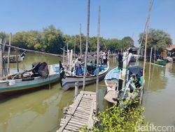 Cuaca Ekstrem, Nelayan Gisik Cemandi Sidoarjo Kembali Tak Melaut