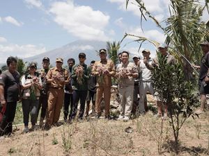 Air Mengalir, Petani Subak Abian di Karangasem Panen Bawang Saat Kemarau