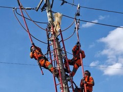 Pemadaman Listrik Bergilir di Parepare Berlangsung 5 Hari