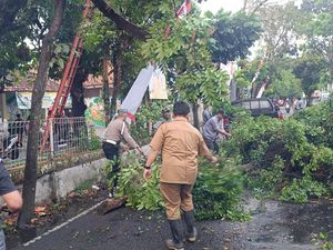 Pohon Beringin Tumbang hingga Tutup Jalan di Kota Bandung