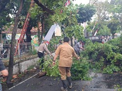 Pohon Beringin Tumbang hingga Tutup Jalan di Kota Bandung