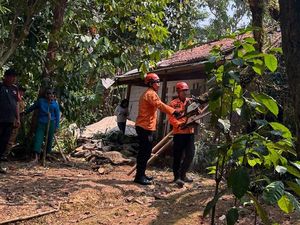 Angin Kencang Bikin Tumbang Pohon Tua di Bogor, 2 Rumah Rusak Tertimpa