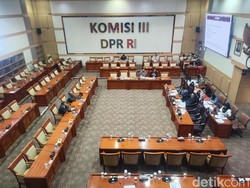 Pakar di Rapat RUU Perampasan Aset: Kalau Harimau-Gajah Jadi Aset Gimana?