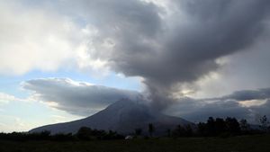 Sinabung Kembali Erupsi, Kolom Abu Membumbung hingga 3.500 Meter