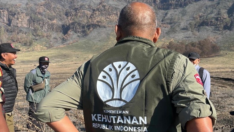Kemenhut Terjunkan Tim Ahli Selidiki Unsur Pidana dalam Karhutla Bromo