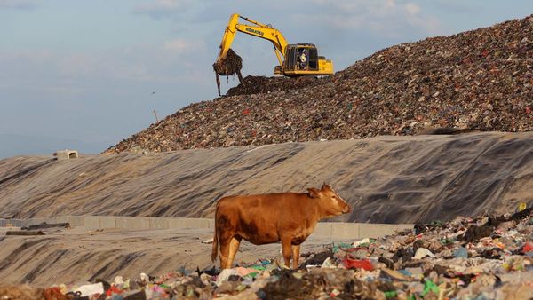 TPA Tamangapa Berbenah, Gunungan Sampah Ditutup 93 Persen