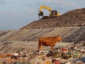 TPA Tamangapa Berbenah, Gunungan Sampah Ditutup 93 Persen