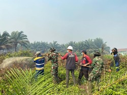 Sinergi Lintas Sektor Penting untuk Penanganan Karhutla di Kayong Utara