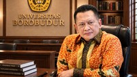Penyesuaian Transfer Daerah Idealnya Tidak Menimbukan Ekses Bagi Daerah