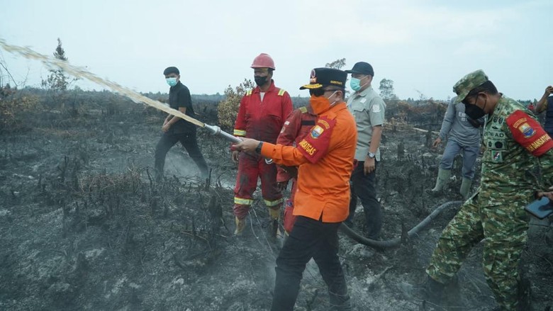 Al Haris Perkuat Program PLTB Cegah Karhutla Jambi