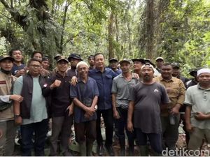 Hutan Sesaot Diusulkan Jadi Hutan Lindung, 3 Desa Kelola 3.000 Hektare