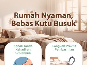 Infografik: Tanda Ada Kutu Busuk di Rumah Anda dan Cara Membasminya