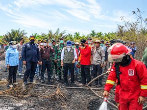 Kejati Jambi Tangani 10 Perkara Karhutla, Siap Diproses Hukum