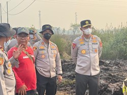 23 Orang Jadi Tersangka dalam 19 Kasus Karhutla di Kalteng