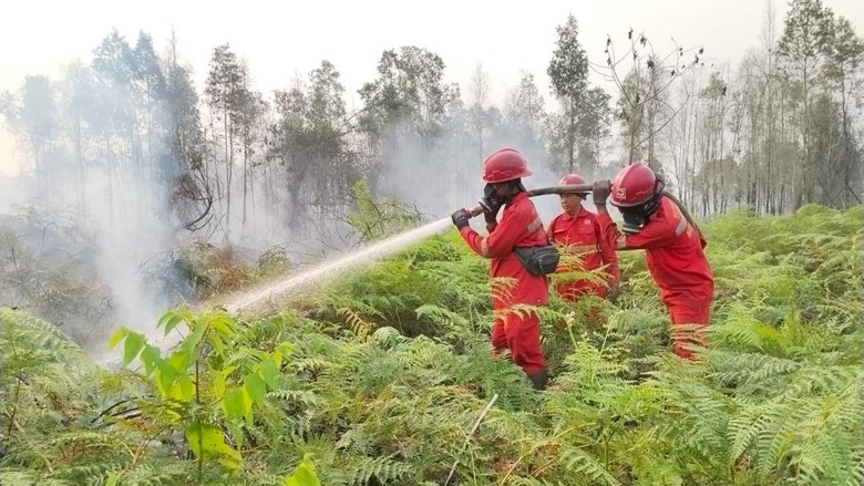 Satgas Atasi 8 Lokasi Karhutla di Sumsel, 334 Hektare Lahan Terbakar