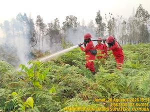 Satgas Atasi 8 Lokasi Karhutla di Sumsel, 334 Hektare Lahan Terbakar