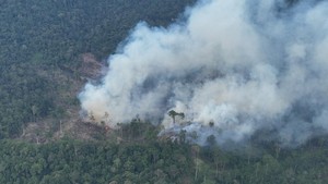 295 Hotspot Terdeteksi di Bengkulu Selama Agustus, Kaur Paling Banyak