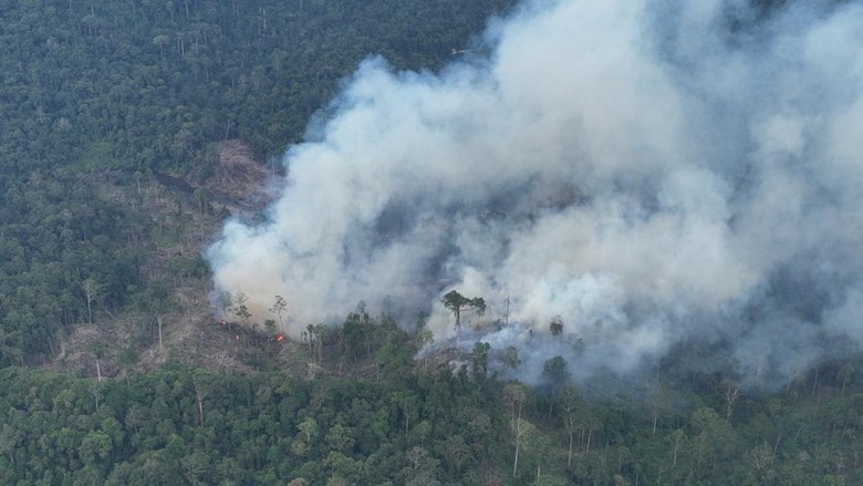 295 Hotspot Terdeteksi di Bengkulu Selama Agustus, Kaur Paling Banyak