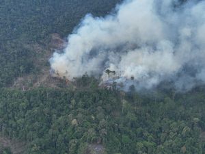 295 Hotspot Terdeteksi di Bengkulu Selama Agustus, Kaur Paling Banyak