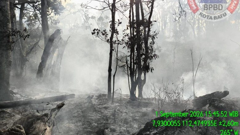 Kebakaran di Gunung Buthak Padam, Luas Lahan Terbakar 15 Hektare