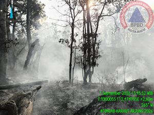 Kebakaran di Gunung Buthak Padam, Luas Lahan Terbakar 15 Hektare