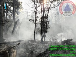 Kebakaran di Gunung Buthak Padam, Luas Lahan Terbakar 15 Hektare