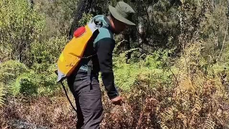 Penyisiran Arjuno-Welirang Terus Dilakukan Meski Karhutla Sudah Padam